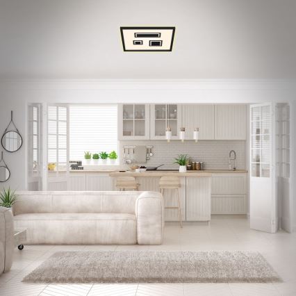 Briloner - LED-kattovalaisin PAC LED/22W/230V