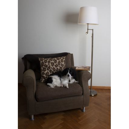 ByRydens - LED-lattiavalaisin ORLANDO 1xE27/5W/230V + LED/3W valkoinen/pronssi halkaisija 36 cm