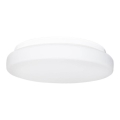 ByRydens - Kylpyhuoneen kattovalaisin OCEAN 1xE27/40W/230V IP44, halkaisija 25 cm