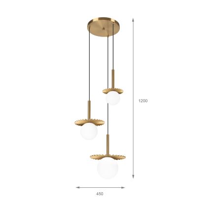 CHITA riippuvalaisin kaapelilla 3xG9/5W/230V, kultainen