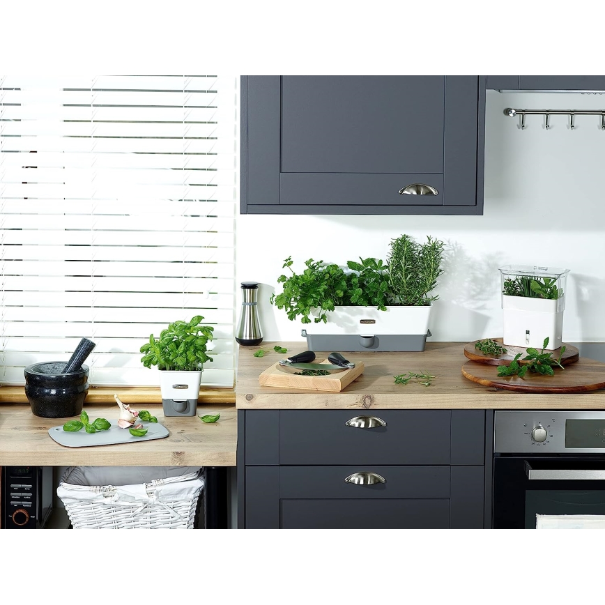 Cole&Mason - Öljy- ja etikka-annostelija HENLEY 260 ml