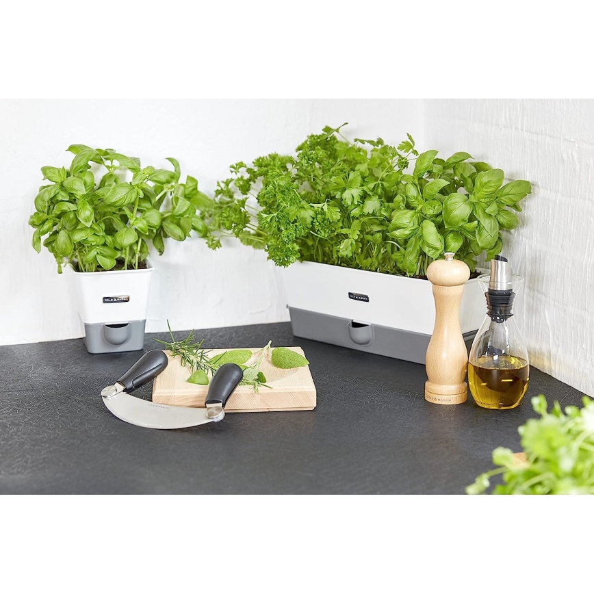 Cole&Mason - Pippurimylly CAPSTAN BEECH pyökki 20 cm