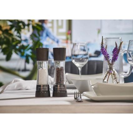 Cole&Mason - Suola- ja pippurimylly setti DERWENT 2 kpl 19 cm pyökki/musta