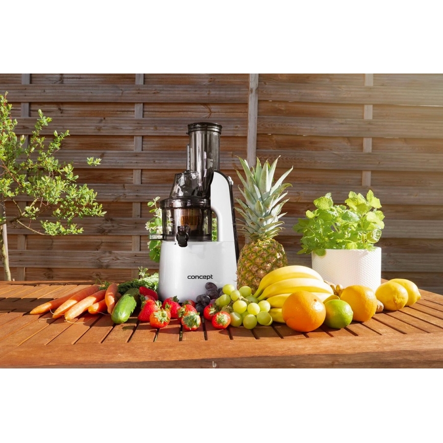 Concept LO7065 - 3-in-1 ruuvimehustin 240 W/230 V harmaa