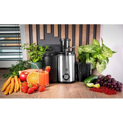 Concept LO7095 - Sentifugaalinen mehulinko 1000W/230V musta/ruostumaton teräs