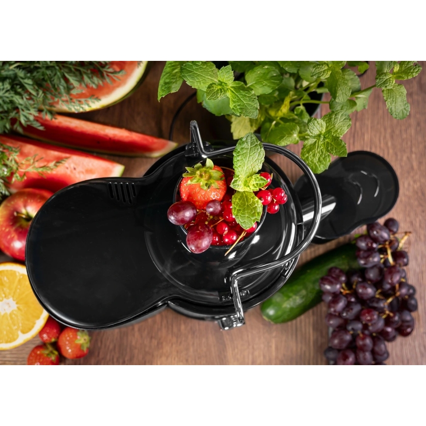 Concept LO7095 - Sentifugaalinen mehulinko 1000W/230V musta/ruostumaton teräs