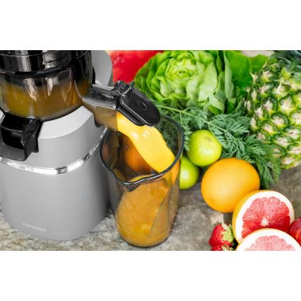 Concept LO7120 - Hidas mehupuristin JUICY 250W/230V harmaa