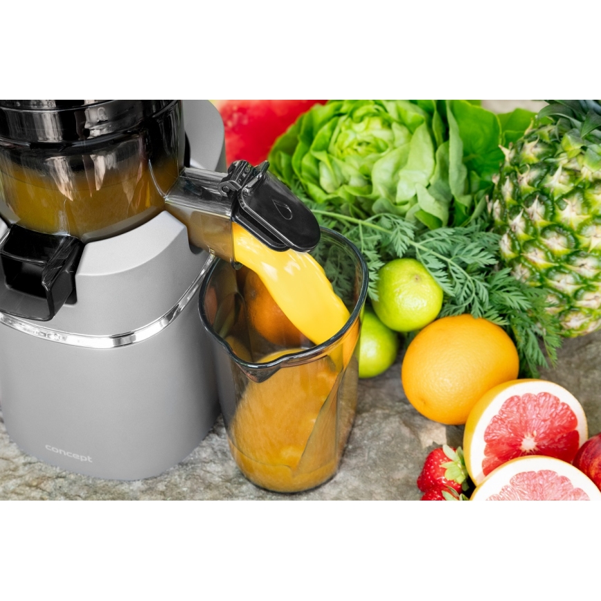 Concept LO7120 - Hidas mehupuristin JUICY 250W/230V harmaa