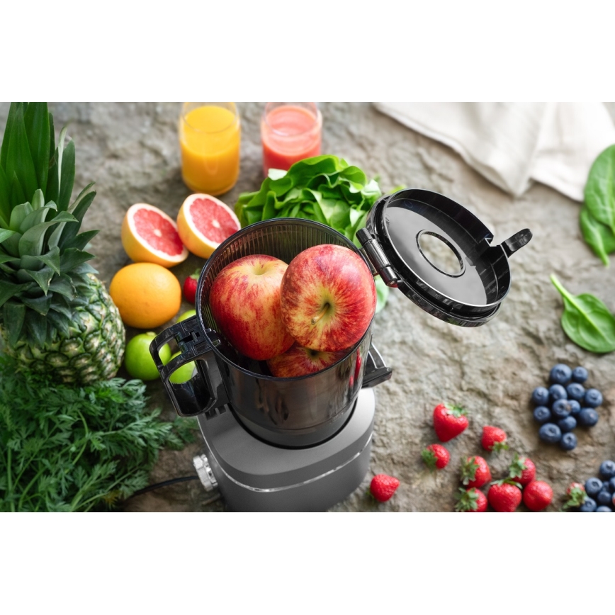 Concept LO7120 - Hidas mehupuristin JUICY 250W/230V harmaa