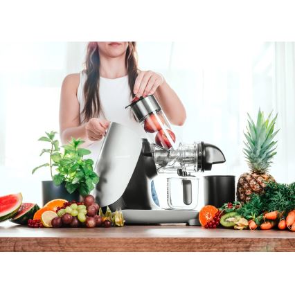 Concept LO7250 - Vaakasuuntainen ruuvimehulinko 200 W/230 V, musta/ruostumaton teräs
