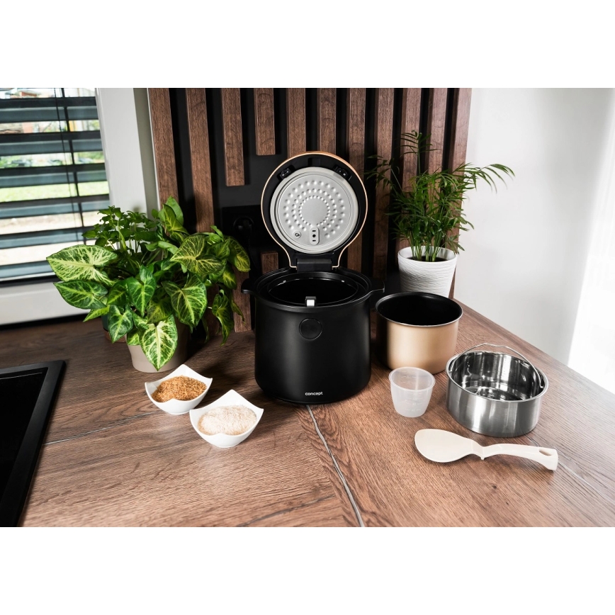 Concept RE4040 - Digitaalinen 2-in-1 riisikeitin 450W/230V 2 l musta/puukuvio