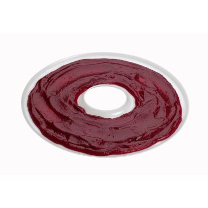 Concept SO2020 - Ruokakuivuri 500W/230V valkoinen