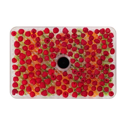 Concept SO2042 - Elintarvikekuivain 500W/230V musta + silikonivuoka