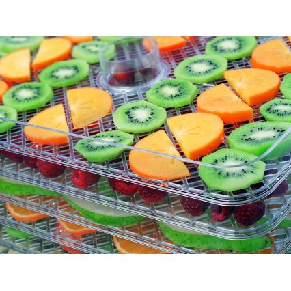 Concept SO2042 - Elintarvikekuivain 500W/230V musta + silikonivuoka