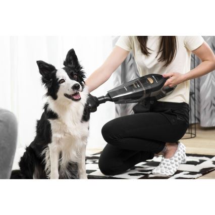 Concept VP4353 - Käsipölynimuri WET & DRY RISER EXTENSION 110W/18,5V 2200 mAh musta