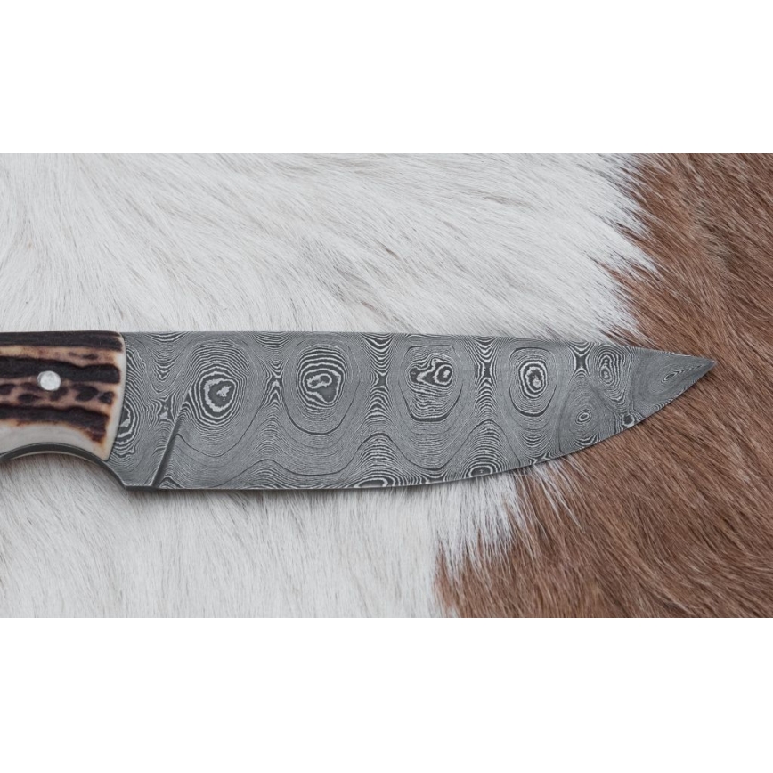 Damaskos metsästysveitsi 11 cm poronsarvet