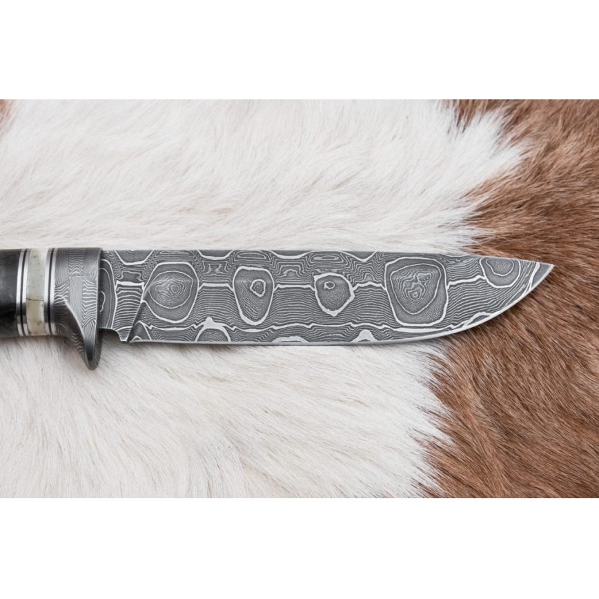 Damaskos metsästysveitsi 13,8 cm Koivu/kamelin luu