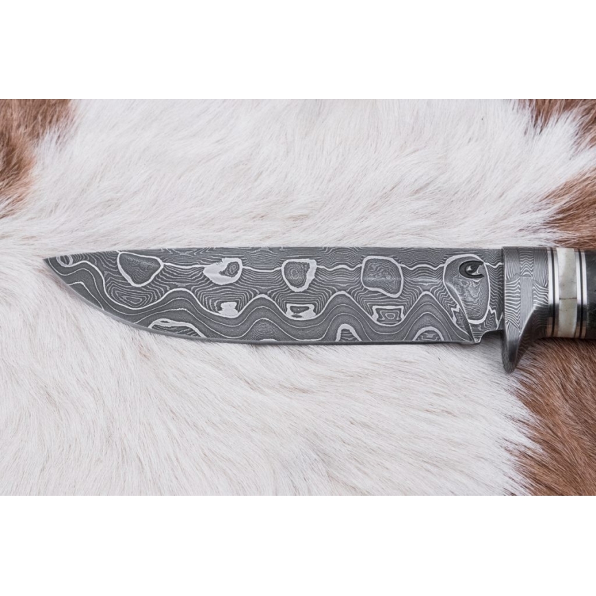 Damaskos metsästysveitsi 13,8 cm Koivu/kamelin luu