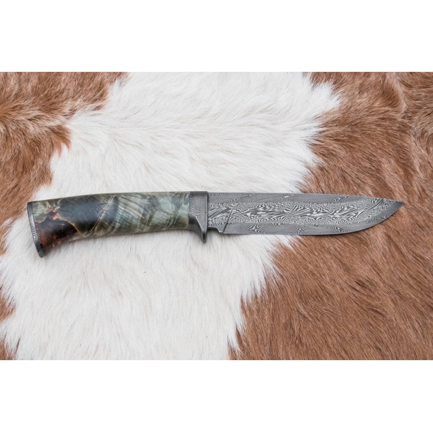 Damaskos metsästysveitsi 14 cm kastanjapuu