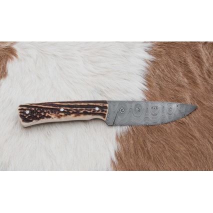 Damaskos metsästysveitsi minisahalla 11 cm poronsarvet