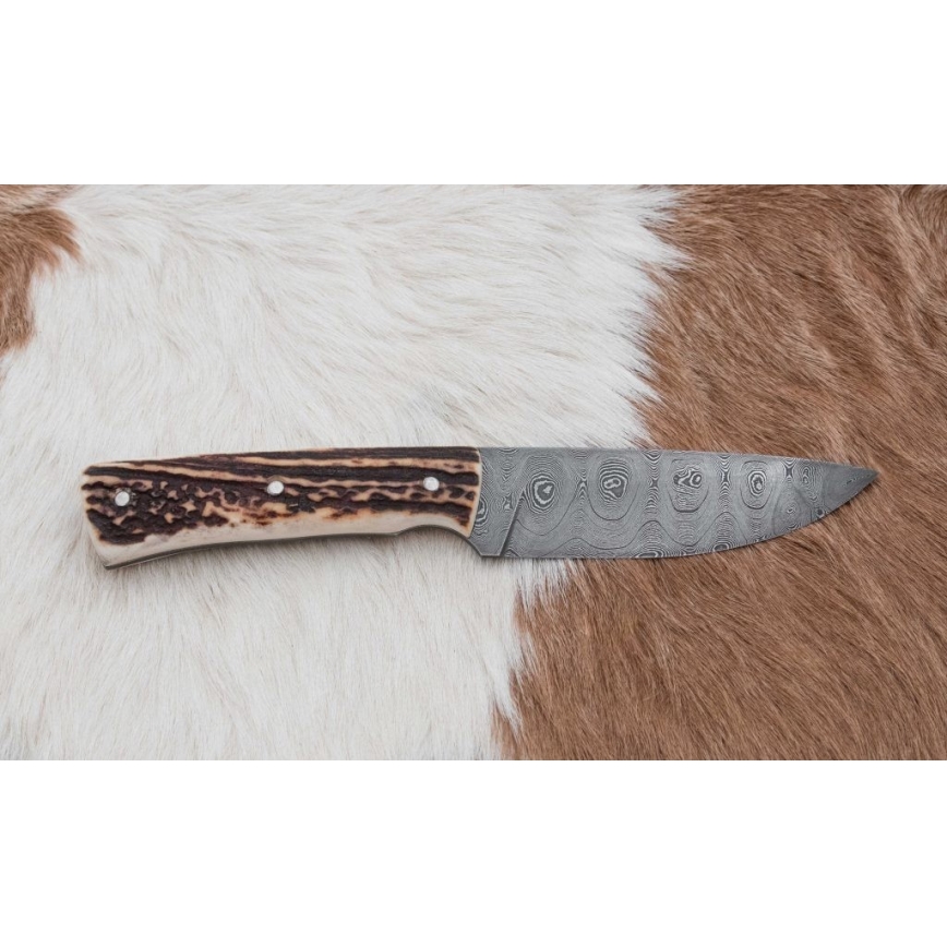 Damaskos metsästysveitsi minisahalla 11 cm poronsarvet