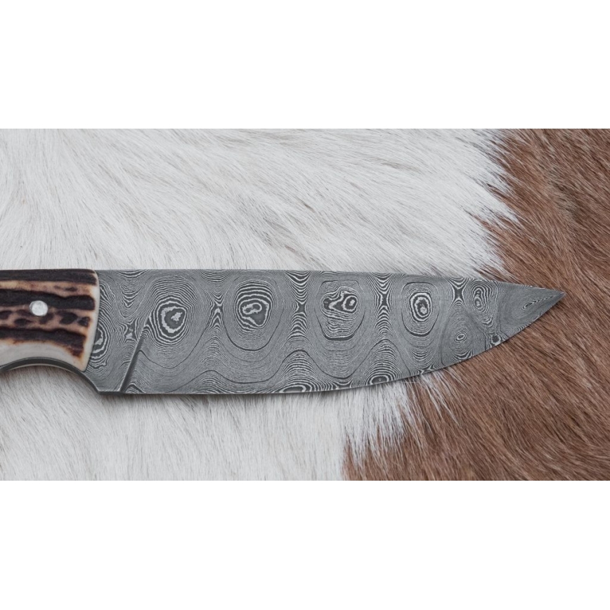 Damaskos metsästysveitsi minisahalla 11 cm poronsarvet