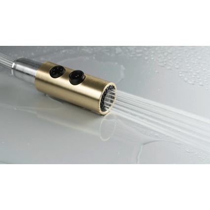 Deante BQO_R72M - Tiskihana ulosvedettävällä ruiskulla OLFATO harjattu kulta