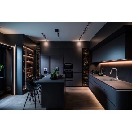 Deante ZPO_010A - Keittiön pesuallas OLFATO 50,5x45 cm harjattu teräs