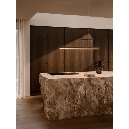 DFTP by Nordlux - LED himmennettävä riippuvalaisin vaijerilla AKENO LED/25W/230V 3000K saarni