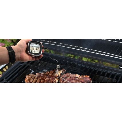 Digitaalinen lihalämpömittari anturin kanssa -20-300°C 2xAAA