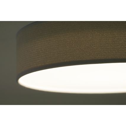Duolla - LED-kattovalaisin CORTINA LED/26W/230V halkaisija 30 cm 4000K harmaa