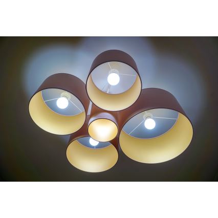 Duolla - Kattovalo ROLLER PENTO 5xE27/60W/230V vaaleanpunainen