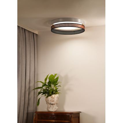 Duolla - LED-kattovalaisin ROLLER DUO SHINY LED/24W/230V halkaisija 45 cm valkoinen/kupari