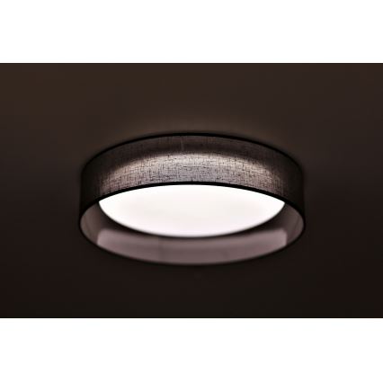 Duolla - LED-kattovalaisin ROLLER LED/24W/230V halkaisija 45 cm antrasiitti