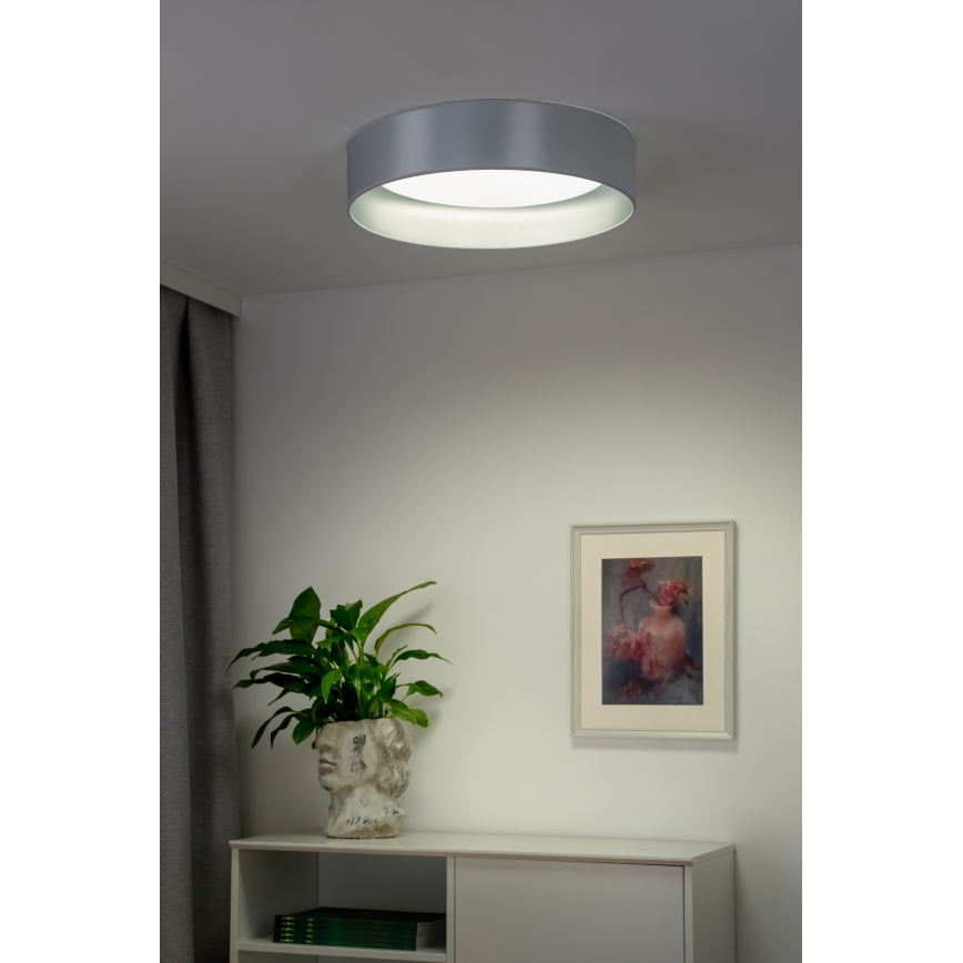 Duolla - LED-kattovalaisin ROLLER LED/24W/230V halkaisija 45 cm hopea