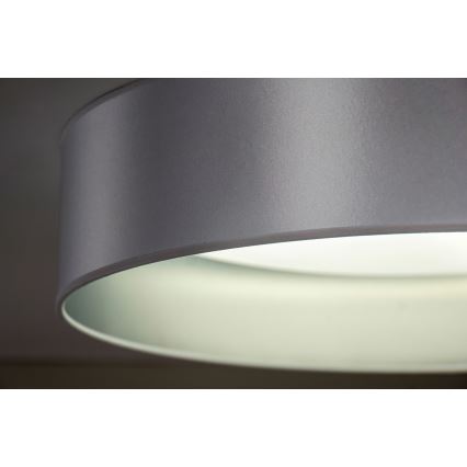 Duolla - LED-kattovalaisin ROLLER LED/24W/230V halkaisija 45 cm hopea