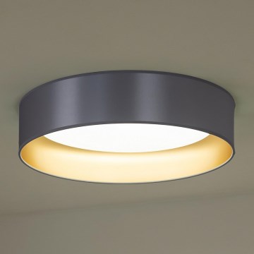 Duolla - LED-kattovalaisin ROLLER LED/24W/230V halkaisija 45 cm hopea/kulta