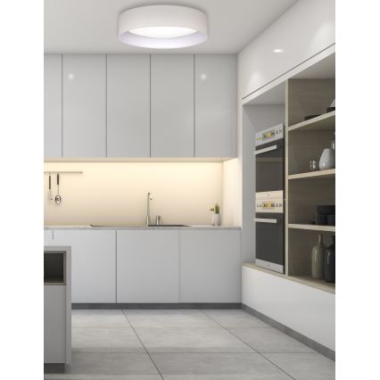 Duolla - LED-kattovalaisin ROLLER LED/24W/230V halkaisija 45 cm kerma