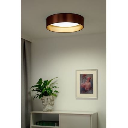 Duolla - LED-kattovalaisin ROLLER LED/24W/230V halkaisija 45 cm kupari/kulta