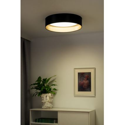 Duolla - LED-kattovalaisin ROLLER LED/24W/230V halkaisija 45 cm musta/kulta