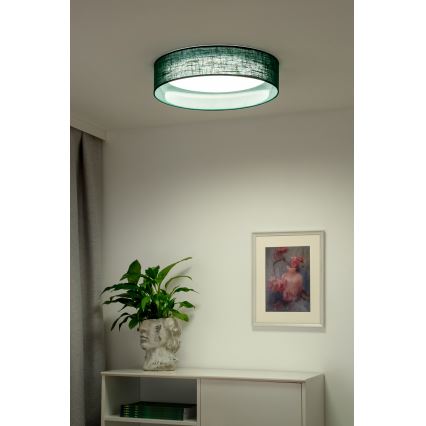 Duolla - LED-kattovalaisin ROLLER LED/24W/230V halkaisija 45 cm vihreä