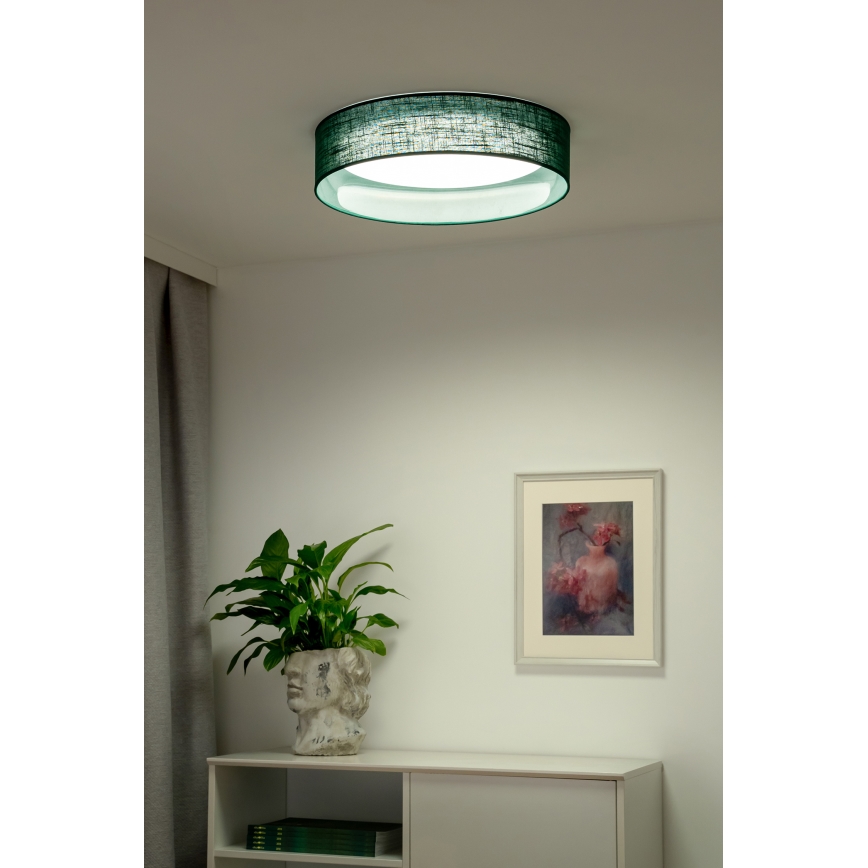 Duolla - LED-kattovalaisin ROLLER LED/24W/230V halkaisija 45 cm vihreä