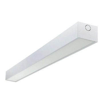 e2 elektro - LED-kattovalaisin LINEARO LED/50W/230V 3000/4000/6000K valkoinen