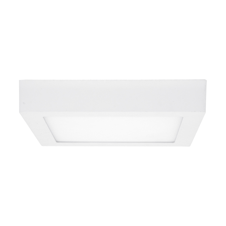 LED-kattovalaisin RAFA LED/25W/230V 3000/4000/6000K 30x30 cm valkoinen