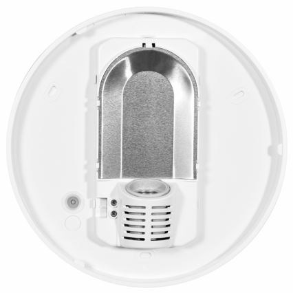 Ulkokattovalo HECTOR 1xE27/60W/230V halkaisija 30 cm IP44 opaali valkoinen