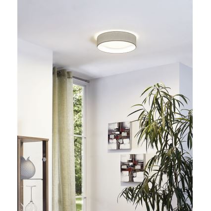 Eglo - LED kattovalaisin LED/11W/230V