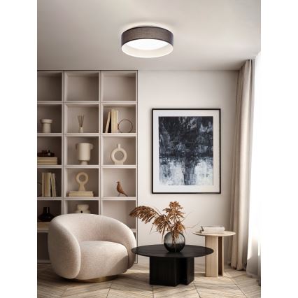 Eglo - LED-kattovalaisin 1xLED/12W/230V