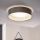 Eglo 31623 - MASERLO LED-kattovalaisin, 16 W / 230 V, 3000 K, halkaisija 40,5 cm, harmaa/hopea