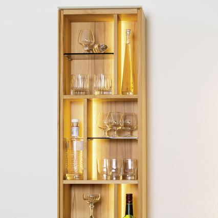 Eglo - LED RGB-nauha 5m STRIPE-C LED/19W/230V