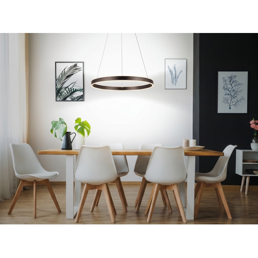 Eglo 33483 - LED-riippuvalaisin ALCAZABA vaijerilla 2xLED/18W/230V 3000K halkaisija 55 cm pronssinvärinen